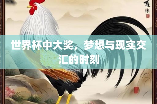 世界杯中大奖，梦想与现实交汇的时刻