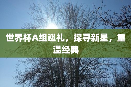 世界杯A组巡礼，探寻新星，重温经典