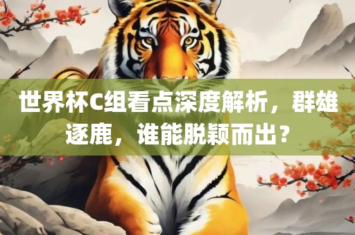 世界杯C组看点深度解析，群雄逐鹿，谁能脱颖而出？