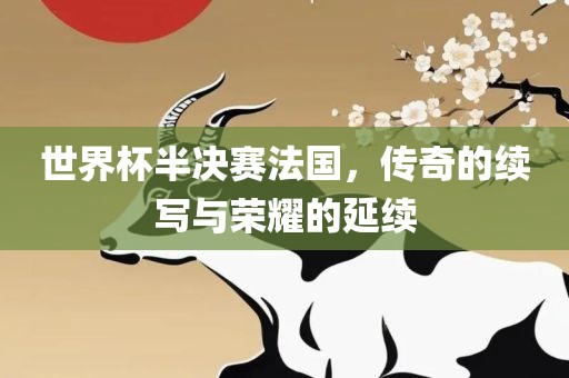 世界杯半决赛法国，传奇的续写与荣耀的延续
