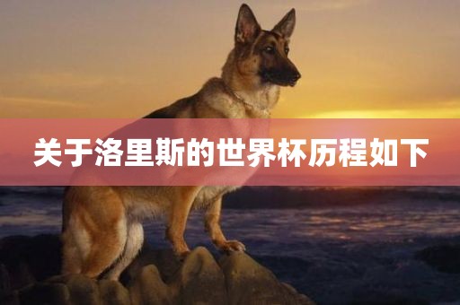 关于洛里斯的世界杯历程如下