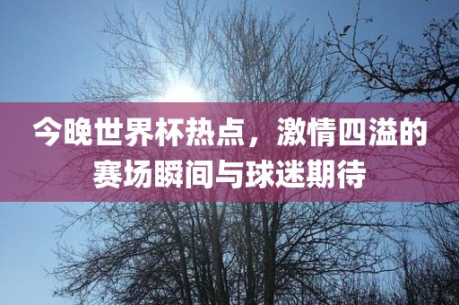 今晚世界杯热点，激情四溢的赛场瞬间与球迷期待