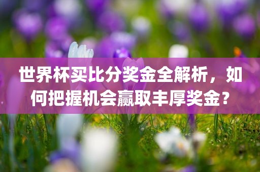 世界杯买比分奖金全解析，如何把握机会赢取丰厚奖金？