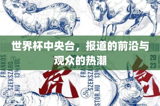 世界杯中央台，报道的前沿与观众的热潮