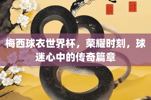 梅西球衣世界杯，荣耀时刻，球迷心中的传奇篇章