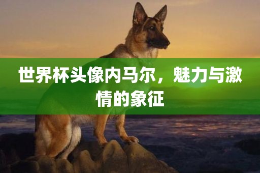 世界杯头像内马尔，魅力与激情的象征