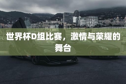 世界杯D组比赛，激情与荣耀的舞台