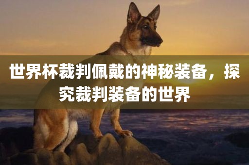 世界杯裁判佩戴的神秘装备，探究裁判装备的世界