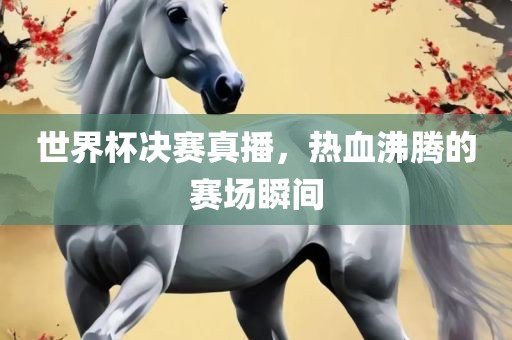 世界杯决赛真播，热血沸腾的赛场瞬间
