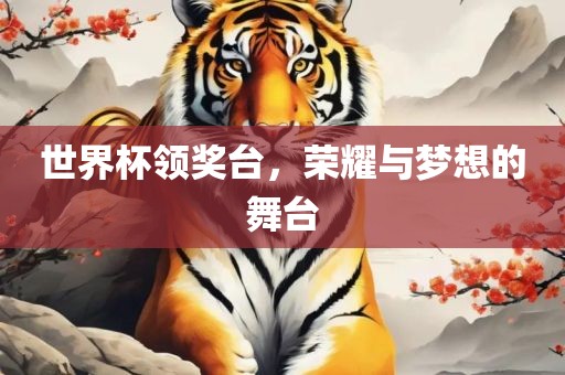 世界杯领奖台，荣耀与梦想的舞台