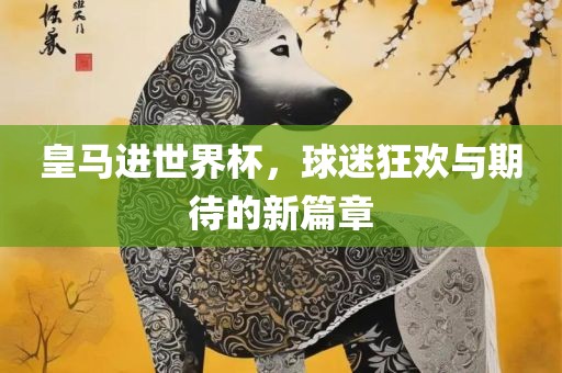 皇马进世界杯，球迷狂欢与期待的新篇章
