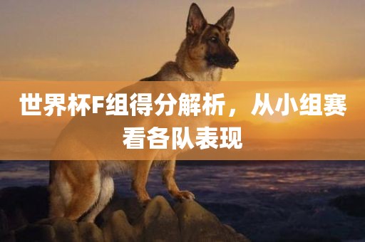 世界杯F组得分解析，从小组赛看各队表现