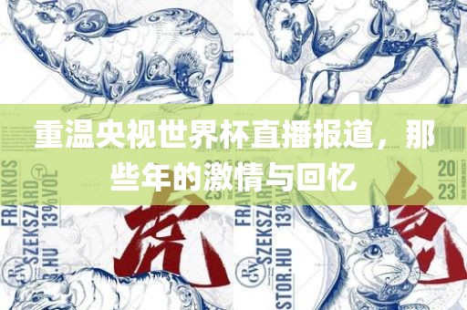 重温央视世界杯直播报道，那些年的激情与回忆