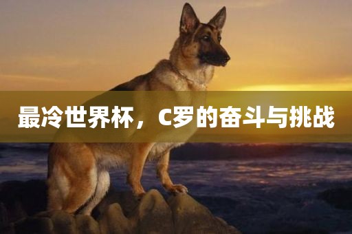 最冷世界杯，C罗的奋斗与挑战