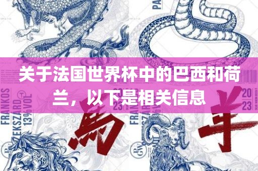 关于法国世界杯中的巴西和荷兰，以下是相关信息