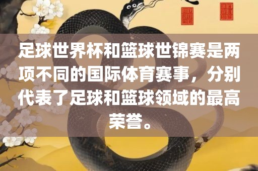 足球世界杯和篮球世锦赛是两项不同的国际体育赛事，分别代表了足球和篮球领域的最高荣誉。