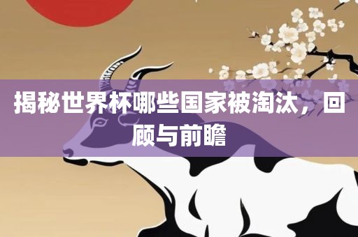 揭秘世界杯哪些国家被淘汰，回顾与前瞻