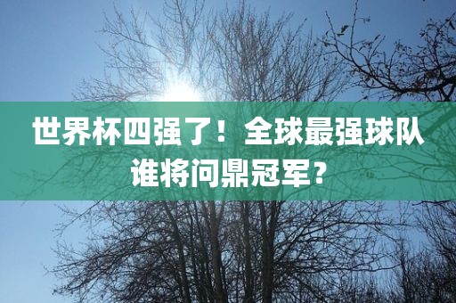 世界杯四强了！全球最强球队谁将问鼎冠军？