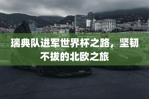 瑞典队进军世界杯之路，坚韧不拔的北欧之旅