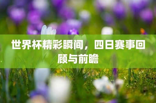 世界杯精彩瞬间，四日赛事回顾与前瞻