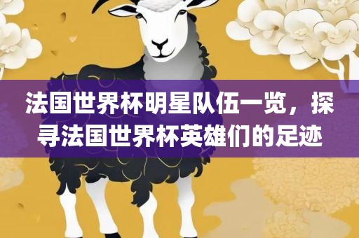 法国世界杯明星队伍一览，探寻法国世界杯英雄们的足迹