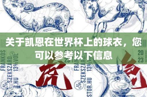 关于凯恩在世界杯上的球衣，您可以参考以下信息