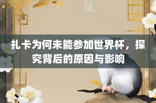 扎卡为何未能参加世界杯，探究背后的原因与影响