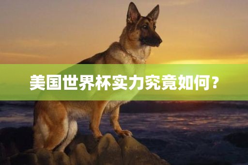 美国世界杯实力究竟如何？