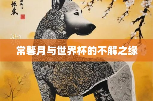 常馨月与世界杯的不解之缘