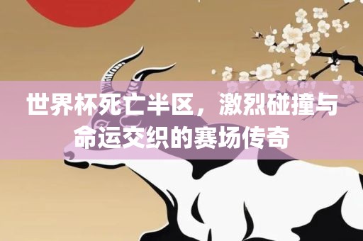 世界杯死亡半区，激烈碰撞与命运交织的赛场传奇