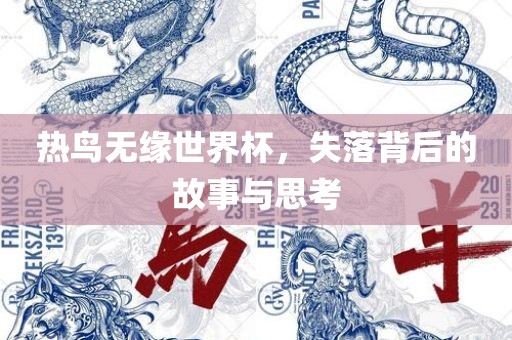 热鸟无缘世界杯，失落背后的故事与思考