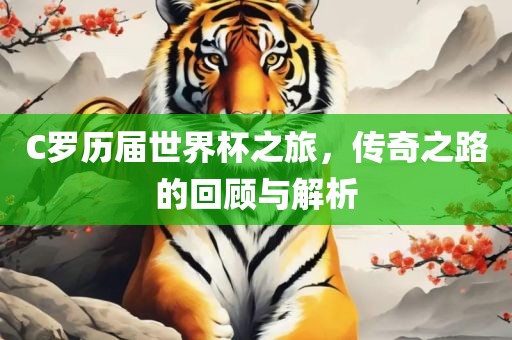C罗历届世界杯之旅，传奇之路的回顾与解析