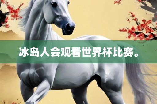 冰岛人会观看世界杯比赛。