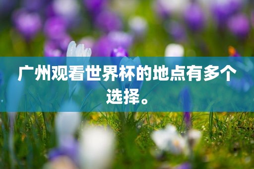 广州观看世界杯的地点有多个选择。