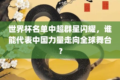 世界杯名单中超群星闪耀，谁能代表中国力量走向全球舞台？