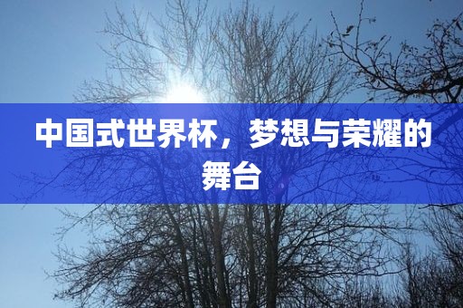 中国式世界杯，梦想与荣耀的舞台
