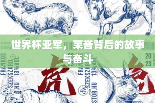 世界杯亚军，荣誉背后的故事与奋斗