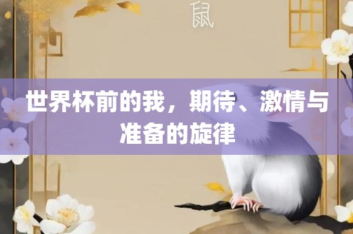 世界杯前的我，期待、激情与准备的旋律