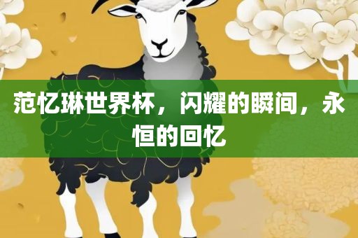 范忆琳世界杯，闪耀的瞬间，永恒的回忆