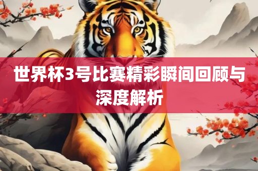 世界杯3号比赛精彩瞬间回顾与深度解析