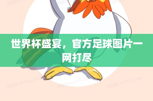 世界杯盛宴，官方足球图片一网打尽