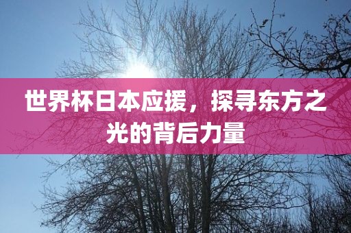 世界杯日本应援，探寻东方之光的背后力量