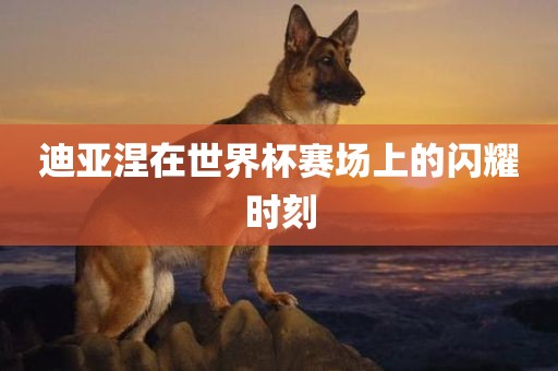迪亚涅在世界杯赛场上的闪耀时刻