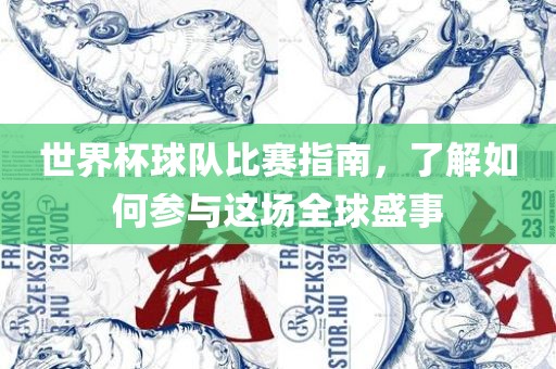 世界杯球队比赛指南，了解如何参与这场全球盛事