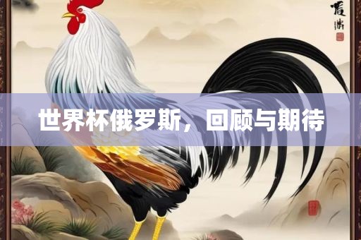 世界杯俄罗斯，回顾与期待