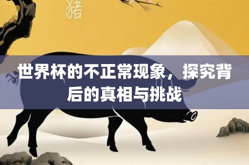 世界杯的不正常现象，探究背后的真相与挑战