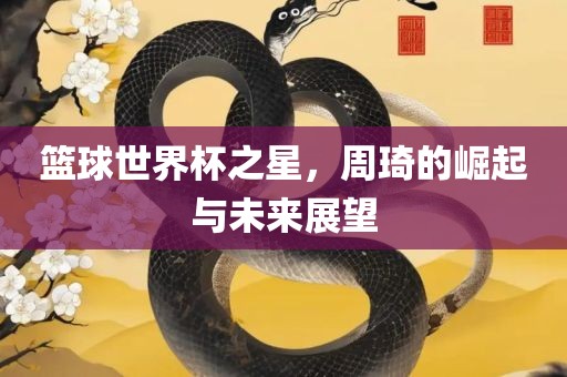 篮球世界杯之星，周琦的崛起与未来展望