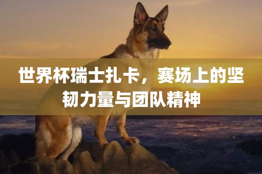 世界杯瑞士扎卡，赛场上的坚韧力量与团队精神