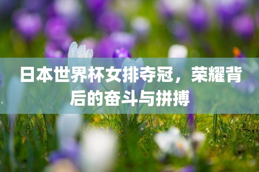 日本世界杯女排夺冠，荣耀背后的奋斗与拼搏