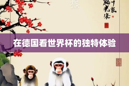 在德国看世界杯的独特体验